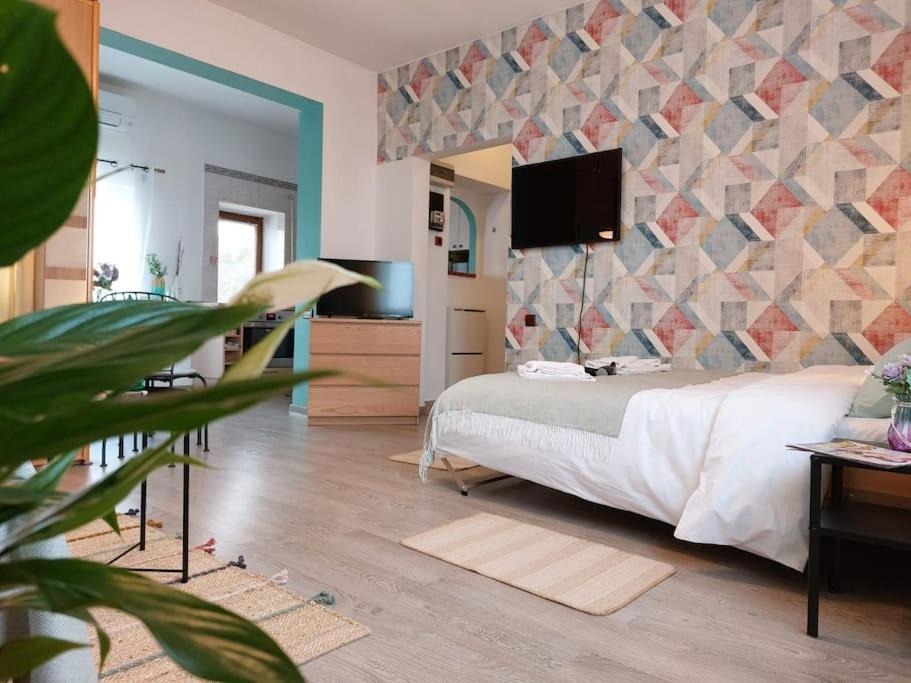 Sweet Dreams Suites Panoramic Studio Zodiac Dorobanti 布加勒斯特 外观 照片